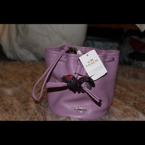 Small Lilac Coach bag